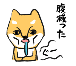 Midget Shiba sticker #1320376