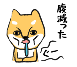 Midget Shiba sticker #1320376