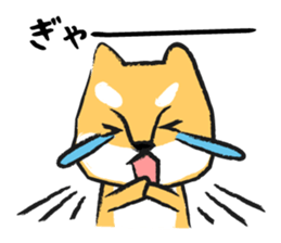 Midget Shiba sticker #1320378