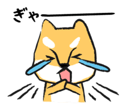 Midget Shiba sticker #1320378