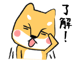 Midget Shiba sticker #1320379