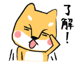 Midget Shiba sticker #1320379