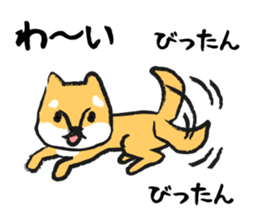 Midget Shiba sticker #1320380