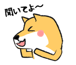 Midget Shiba sticker #1320383
