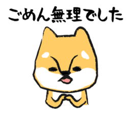 Midget Shiba sticker #1320385