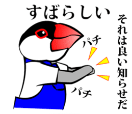 Little Bird kids dressed in overalls sticker #1320386