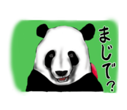 Panchan &Riepan sticker #1322213