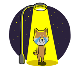 The Dogs - Shiba Inu 'Rui' sticker #1322248