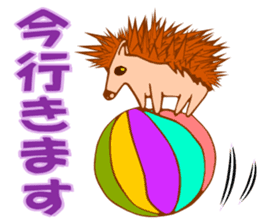 Hedgehog HARIHARI sticker #1324027