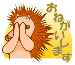 Hedgehog HARIHARI sticker #1324033