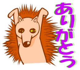 Hedgehog HARIHARI sticker #1324038