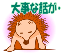 Hedgehog HARIHARI sticker #1324046