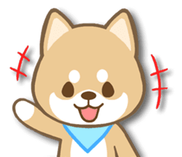 Shiba inu "Shibacchi" sticker #1325786