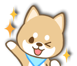 Shiba inu "Shibacchi" sticker #1325788