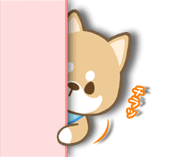 Shiba inu "Shibacchi" sticker #1325792