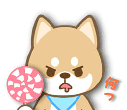 Shiba inu "Shibacchi" sticker #1325795
