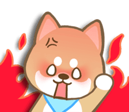Shiba inu "Shibacchi" sticker #1325796