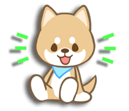 Shiba inu "Shibacchi" sticker #1325799