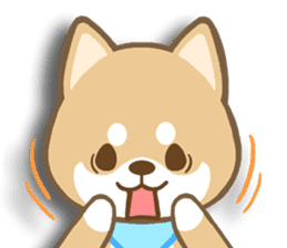 Shiba inu "Shibacchi" sticker #1325800