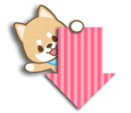 Shiba inu "Shibacchi" sticker #1325810