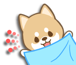 Shiba inu "Shibacchi" sticker #1325813
