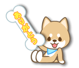 Shiba inu "Shibacchi" sticker #1325817