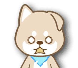 Shiba inu "Shibacchi" sticker #1325818