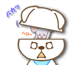 Shiba inu "Shibacchi" sticker #1325820