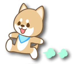 Shiba inu "Shibacchi" sticker #1325821