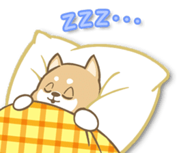 Shiba inu "Shibacchi" sticker #1325823