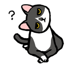 CATS!? sticker #1326197