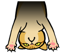 CATS!? sticker #1326205