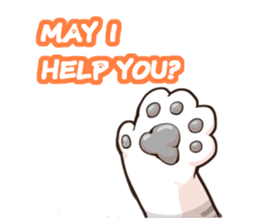 4cats(English) sticker #1327021