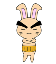 EB (Eyebrows Bunny) sticker #1327562