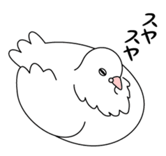 White dove sticker #1327915