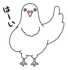 White dove sticker #1327919
