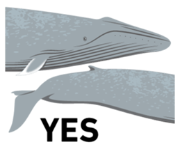 Do you like whales? sticker #1331066