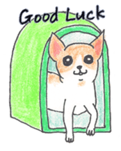 Life of Chihuahua(English) sticker #1332307