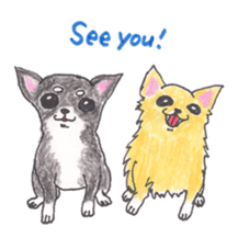 Life of Chihuahua(English) sticker #1332308