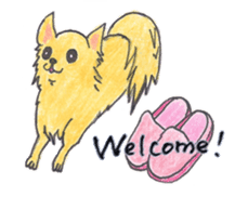 Life of Chihuahua(English) sticker #1332309