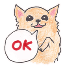 Life of Chihuahua(English) sticker #1332314