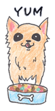 Life of Chihuahua(English) sticker #1332316