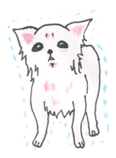 Life of Chihuahua(English) sticker #1332333