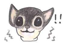 Life of Chihuahua(English) sticker #1332334