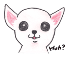 Life of Chihuahua(English) sticker #1332335