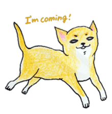 Life of Chihuahua(English) sticker #1332337
