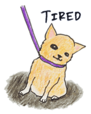 Life of Chihuahua(English) sticker #1332343