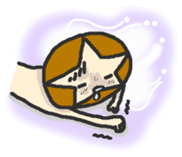 Shii-taro Shiitake mushroom Boy sticker #1332738