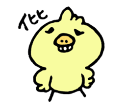 Chick of the pig nose sticker #1333155