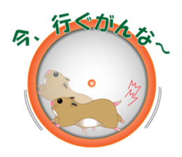 Golden hamster's useful IBARAKI accent sticker #1335372
